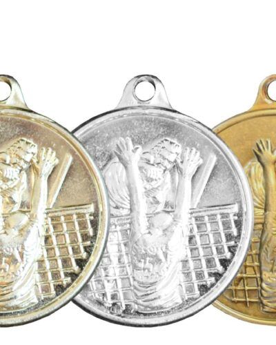 Volleyball Jernmedalje