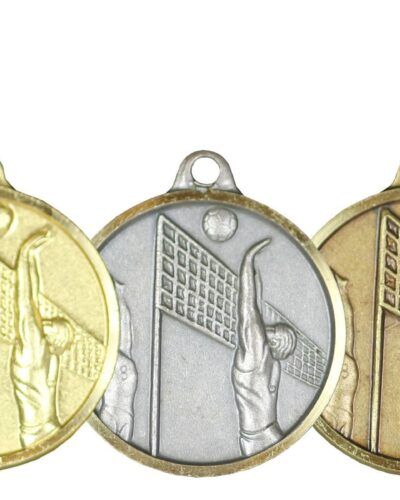 Volleyball Messingmedalje