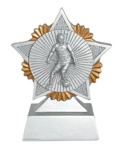 Stjernespiller Fotball Herre