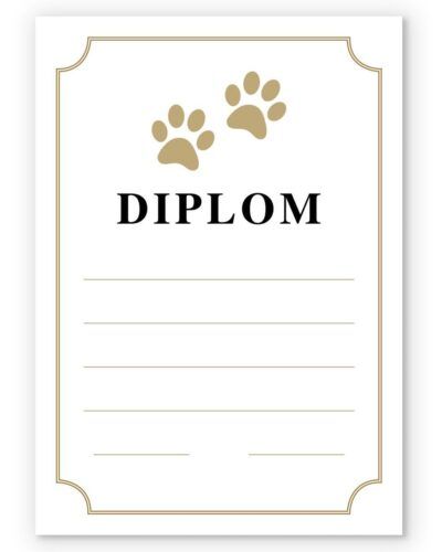 Diplom Pote