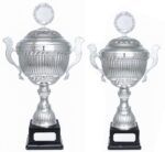 Store sølvpokaler, Magnum