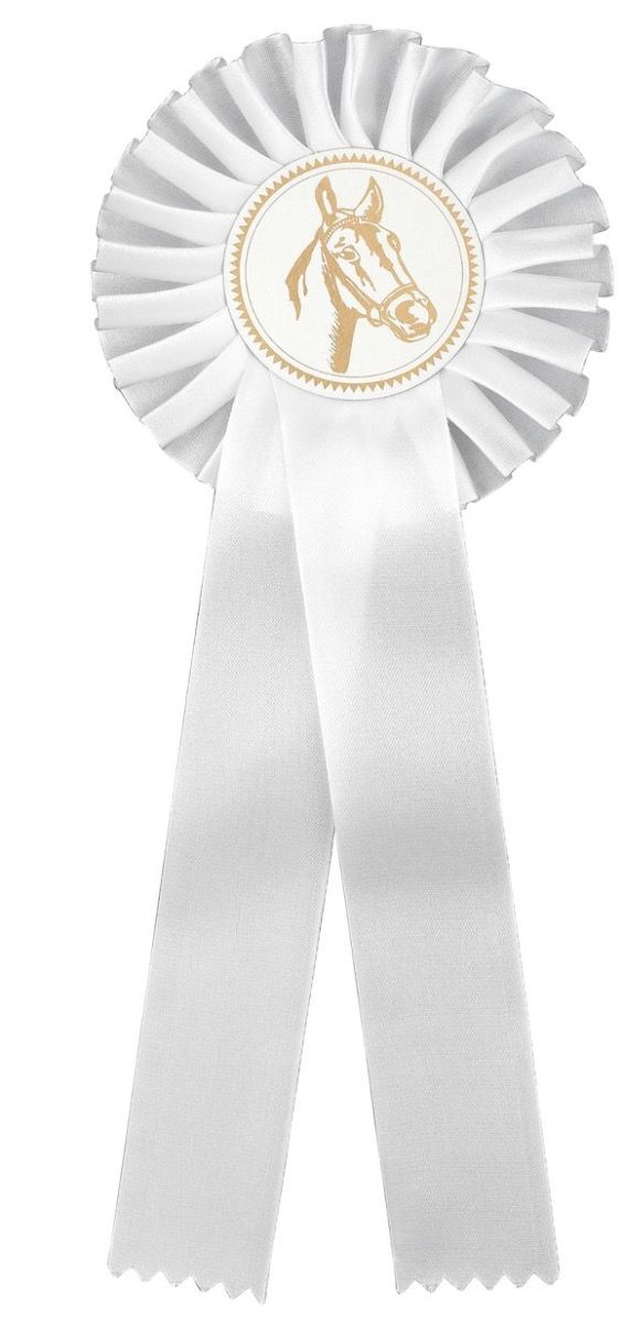 r200_wi_1_whitebg Rosett Hvit - Enkel 30cm