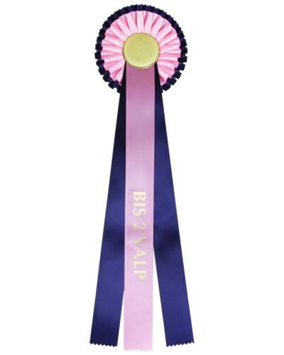 Rosett BIS 2 VALP - Blå Rosa