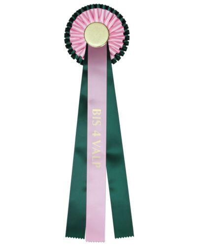 Rosett BIS 4 Valp - Grønn Rosa