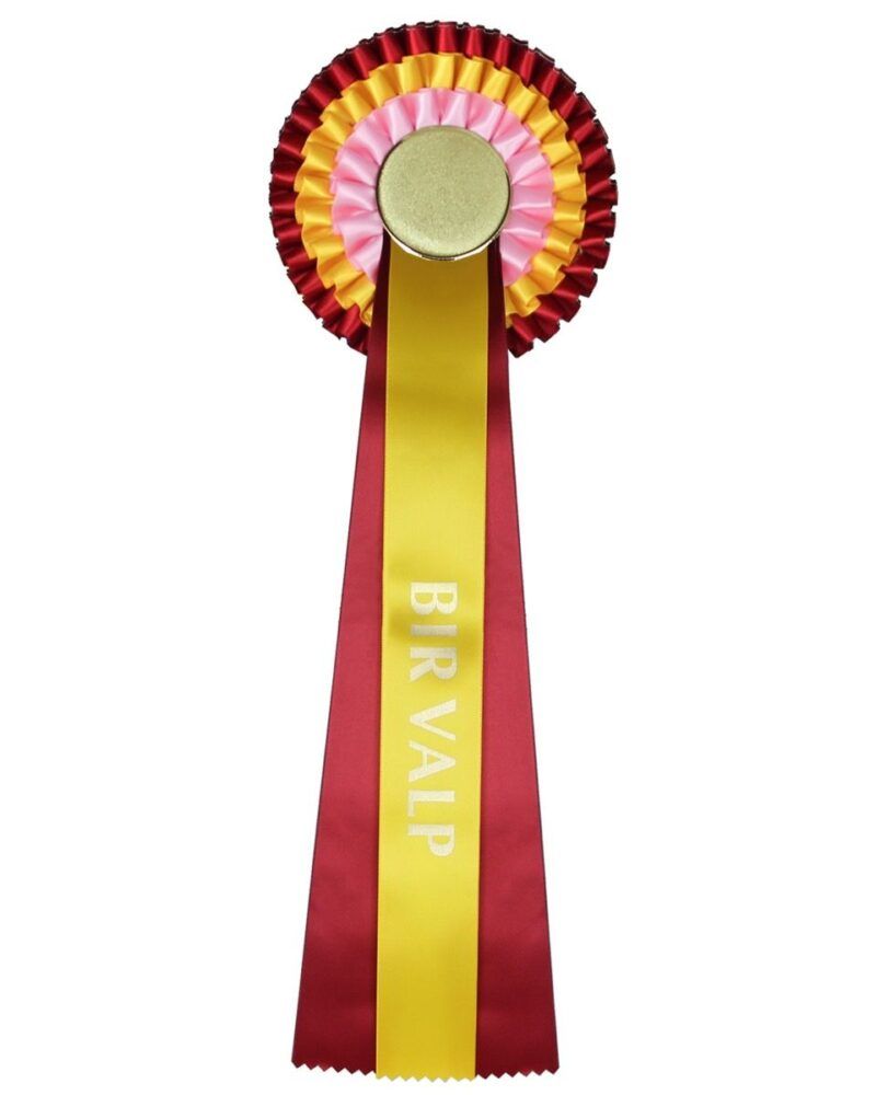 rosett_-_gul_r_d_-_bir_valp_1500x1200