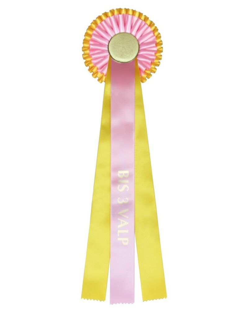 rosett_-_gul_rosa_-_bis_3_valp_1