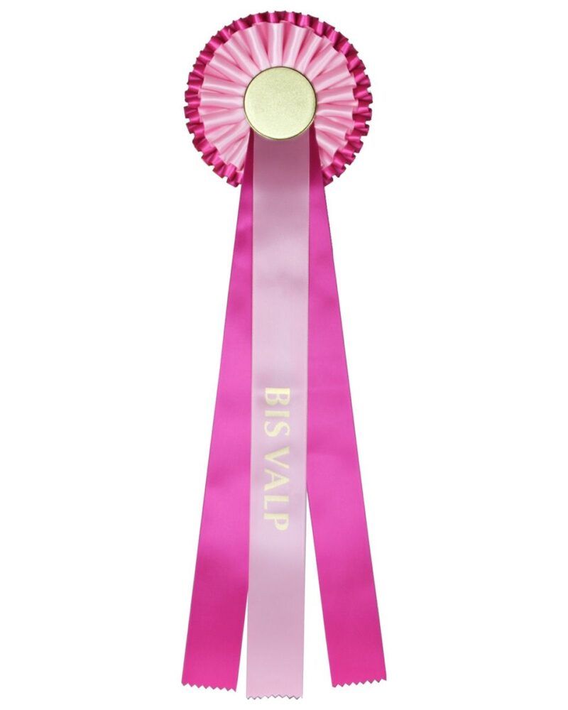 rosett_-_rosa_lilla_-_bis_valp_1500x1200