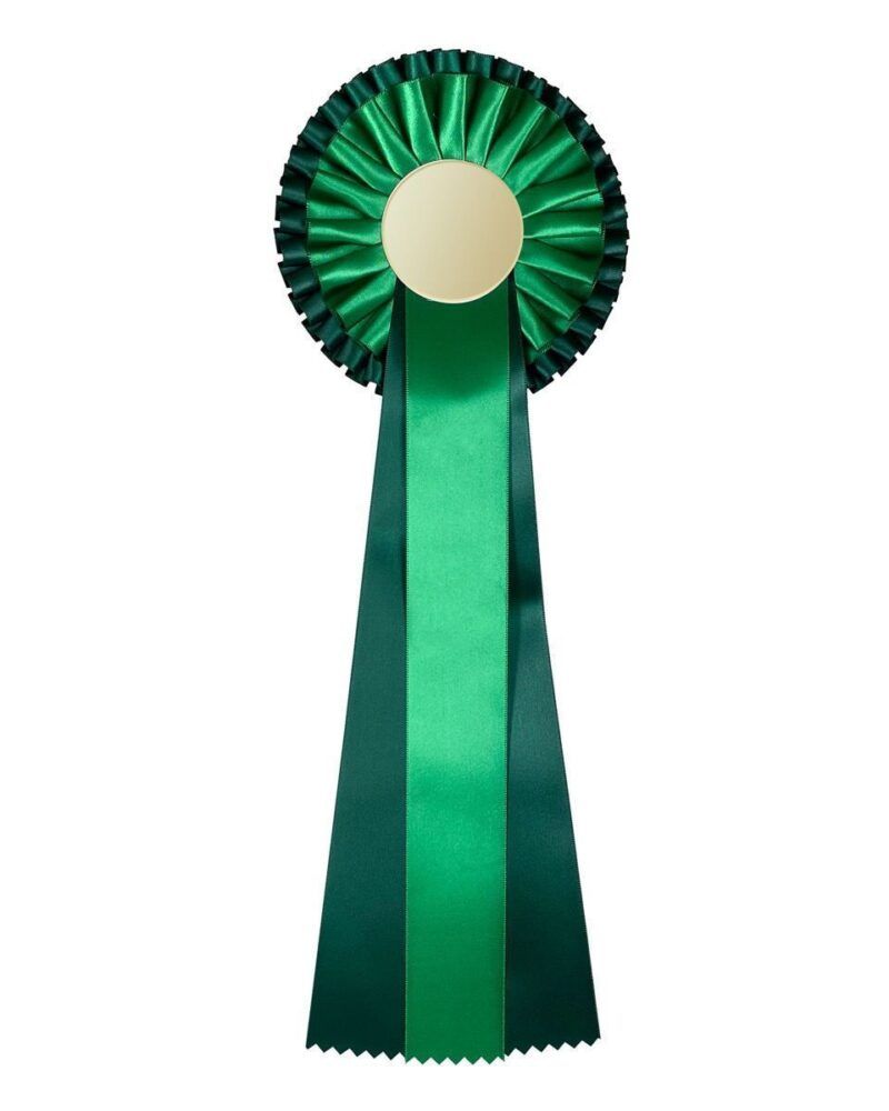 rosett_1653_gr_nn_3-lags_1