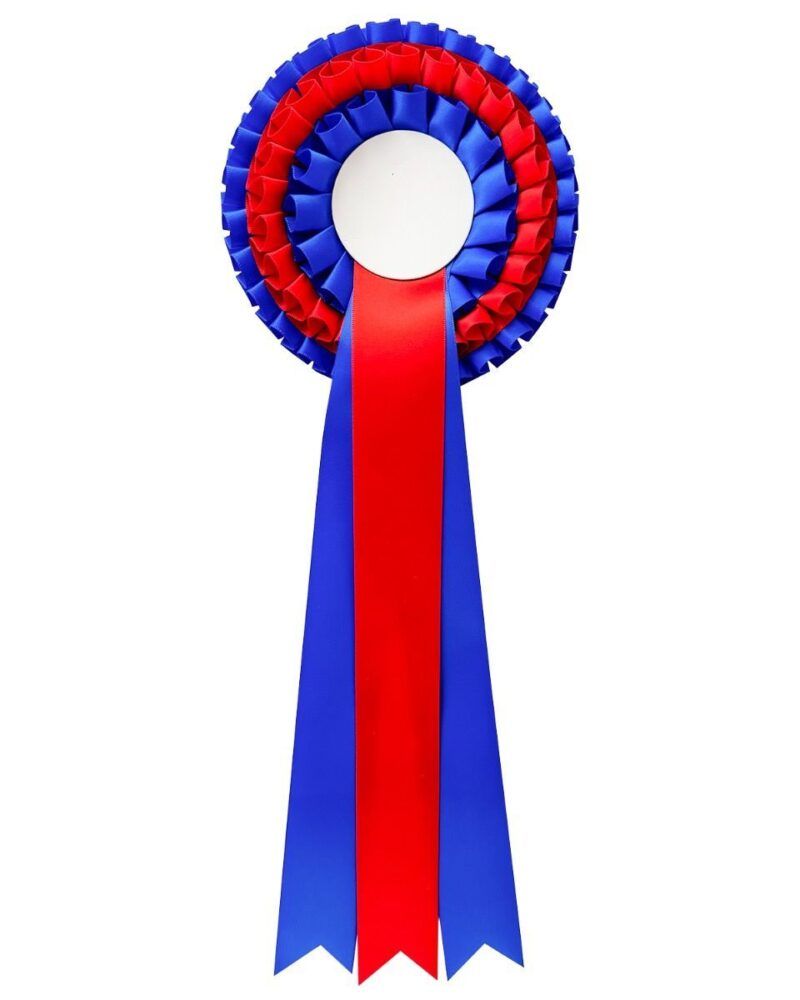 rosetter_3-lags_bl_r_d_ny_2024