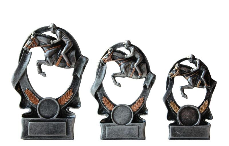 sprangridning_-_hest_-_3_str