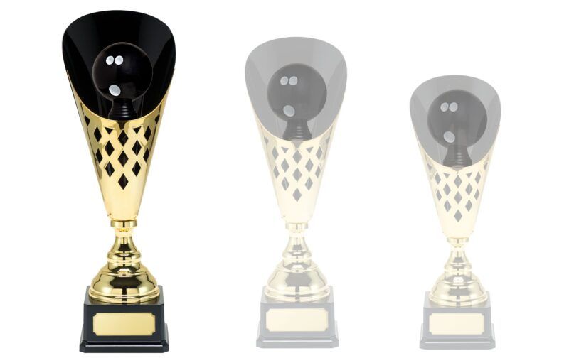 trofe_-_biemans_-_gull_-_stor_-_x493_-_bowling_1-4