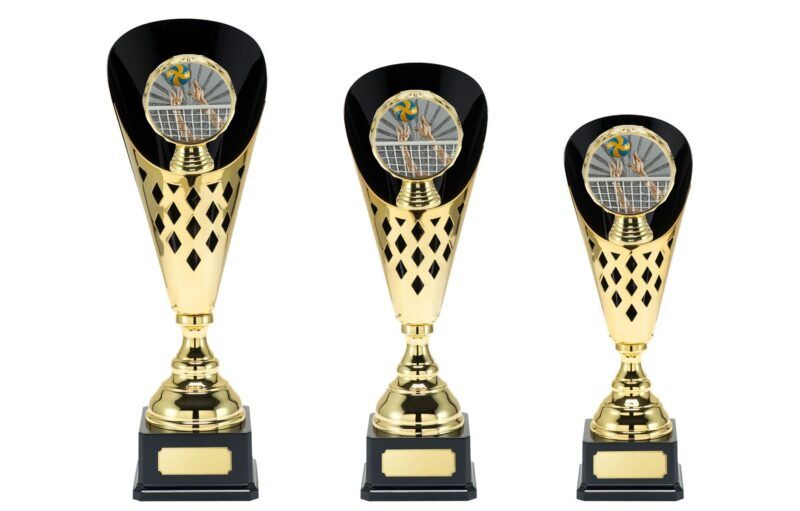 trofe_-_biemans_-_gull_-_x493_vollyball